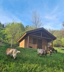 Camping les Grands Champs, Saint-Hippolyte - Horaires d'ouverture