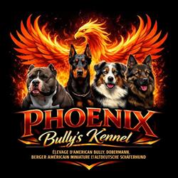 Phoenix Bully’s Kennel, Wirwignes - Horaires d'ouverture