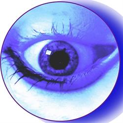 Dans les yeux d'LN, Avesnelles - Horaires d'ouverture