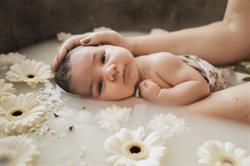 LUDIVINE HELLE PHOTOGRAPHE, Esquerchin - Horaires d'ouverture