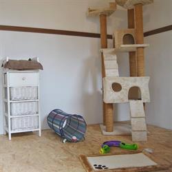 Pension des Pattes de Velours & Gîte des 4 Pattes, Aubigny-au-Bac - Horaires d'ouverture