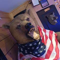 GOLDEN BEAR, Nuits-Saint-Georges - Horaires d'ouverture
