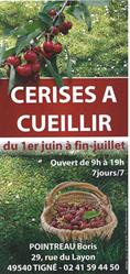 Pointreau Boris, Lys-Haut-Layon - Horaires d'ouverture
