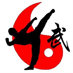 KUNG FU LYON, Bron - Horaires d'ouverture