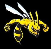 HORNET ASIAT 82 STOP NUISIBLES, Puylaroque - Horaires d'ouverture