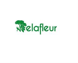 Élafleur, Boulancourt - Horaires d'ouverture