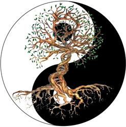 Tai Chi Saint Priest, Saint-Priest - Horaires d'ouverture