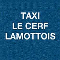 Taxi Le Cerf Lamottois, Lamotte-Beuvron - Horaires d'ouverture