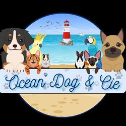 Ocean Dog & Cie, Saint-Augustin - Horaires d'ouverture