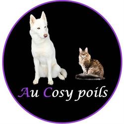 AU COSY POILS, Boult - Horaires d'ouverture