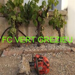 FC Vert Grezieu, Grézieu-la-Varenne - Horaires d'ouverture