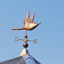 TBP, Fréjus - Horaires d'ouverture