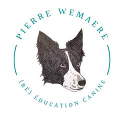 Pierre wemaere education canine, Tourcoing - Horaires d'ouverture