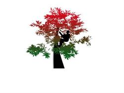 Timber'acro, Vendargues - Horaires d'ouverture