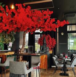 Mama Thai, Montévrain - Horaires d'ouverture