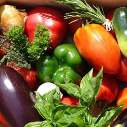 Légumes du jardin, La Résie-Saint-Martin - Horaires d'ouverture