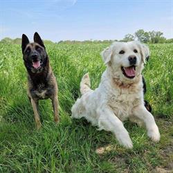 Cani Family, Malville - Horaires d'ouverture