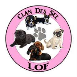 CLAN DES SEL, Prédefin - Horaires d'ouverture