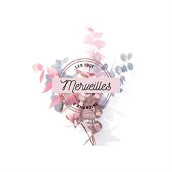 1001 MERVEILLES D'AMANDINE, Thiel-sur-Acolin - Horaires d'ouverture