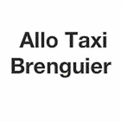 Allo Taxi Brenguier, Brignoles - Horaires d'ouverture