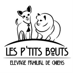 LES PTITS BOUTS, Villemolaque - Horaires d'ouverture