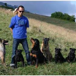 Les Chiens du Paradis, Grenoble - Horaires d'ouverture