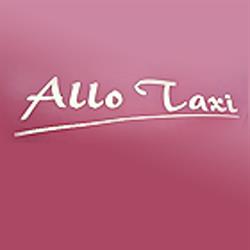 Allo Taxi Schuk, Biesles - Horaires d'ouverture