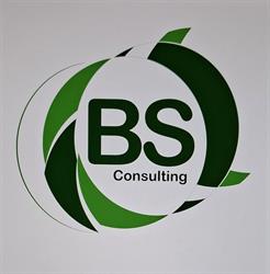 BS CONSULTING Internet et Référencement, Toulouse - Horaires d'ouverture