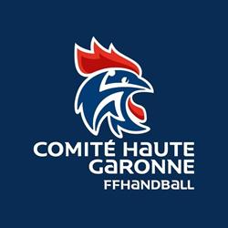 Comité Handball 31, Balma - Horaires d'ouverture