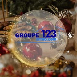 GROUPE 123 IMMO MIGENNES, Migennes - Horaires d'ouverture