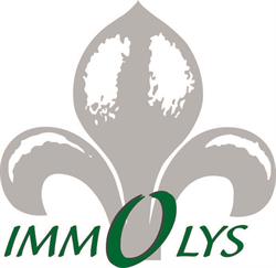 IMMOLYS - Agence Immobilière Tournus - Syndic Gestion Locative, - Horaires d'ouverture