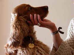 Dog Courtoisie, Boulogne-Billancourt - Horaires d'ouverture
