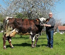 Aux Glaces du Pays de Bray, Bully - Horaires d'ouverture