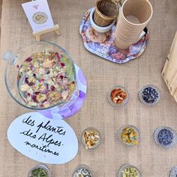 Maeva Bac - Graphiste Senior - Consultante en branding, Tourrettes-sur-Loup - Horaires d'ouverture