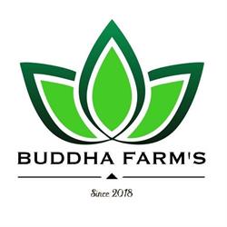 CBD Thionville - Buddha Farm's, - Horaires d'ouverture