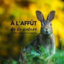 A l'affût de la nature, Montbrison - Horaires d'ouverture