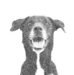 Maître Doggy - Educateur comportementaliste canin, Montauban - Horaires d'ouverture