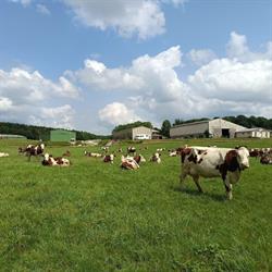 Ferme Baulieu Bio, Pelousey - Horaires d'ouverture