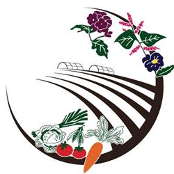 Les Artisans du Potager Tiffauges, - Horaires d'ouverture