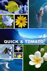 Quick & Tomato Surfwear, Carcans - Horaires d'ouverture