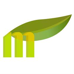 Mango Production - motion design Bordeaux, - Horaires d'ouverture