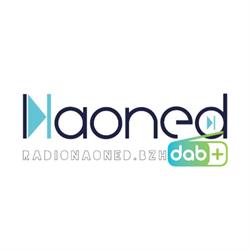 Radio Naoned, Saint-Herblain - Horaires d'ouverture
