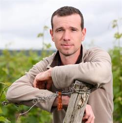 Vins de Saint Nicolas de Bourgueil - Gaëtan Bruneau, vigneron à La Chevallerie, Saint-Nicolas-de-Bourgueil - Horaires d'ouverture