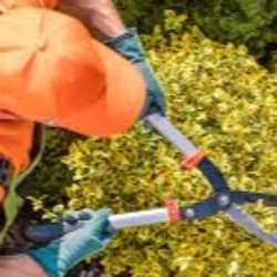 BC Espaces verts, Foucherans - Horaires d'ouverture