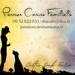 Celtic Oak Farm, Mialos - Horaires d'ouverture