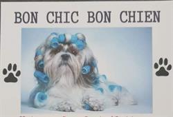 Bon chic bon chien toilettage, Questembert - Horaires d'ouverture