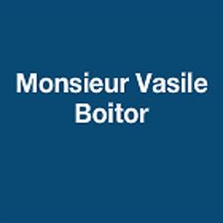 Monsieur Vasile Boitor, Chalo-Saint-Mars - Horaires d'ouverture