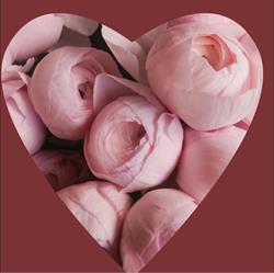 A Fleur De Pot, La Fouillouse - Horaires d'ouverture