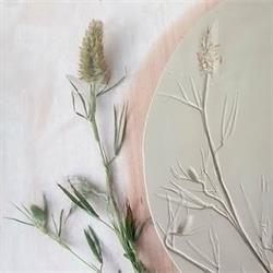 valeria tarroni créatures en terre - Céramique de Saison, Hyères - Horaires d'ouverture