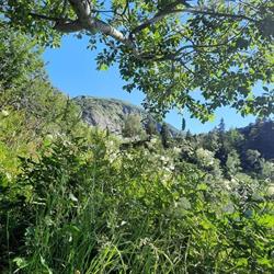 La Belle Aventure, Albertville - Horaires d'ouverture